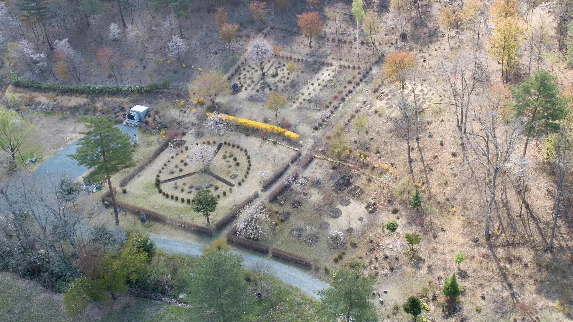 上空から見た境内の植樹葬墓地と、それを囲む森