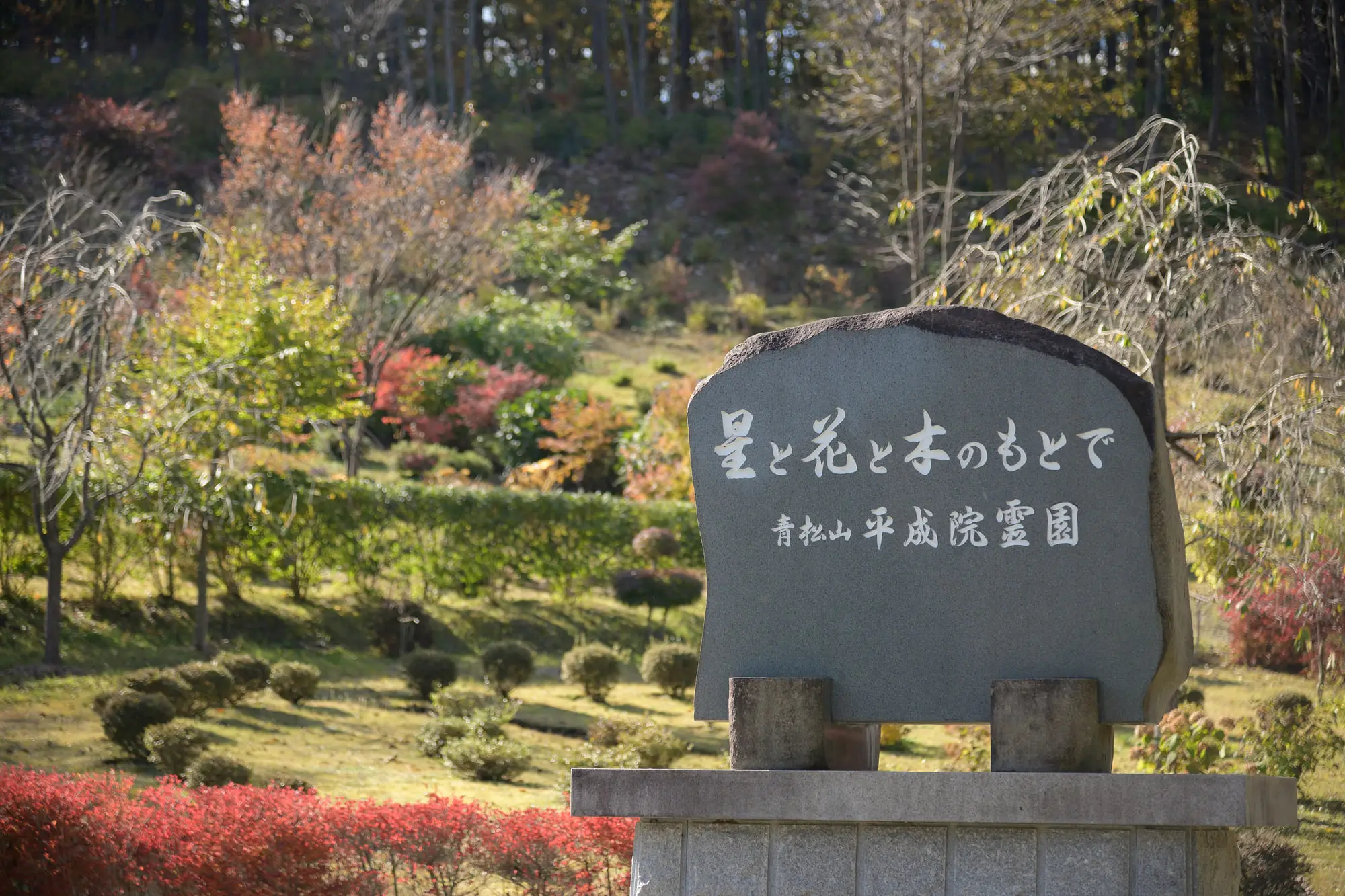 「星と花と木のもとで」と刻まれた石碑